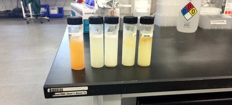 Illustration for article titled This Biotech Startup Wants to Brew Yeast That Smells Like Perfume